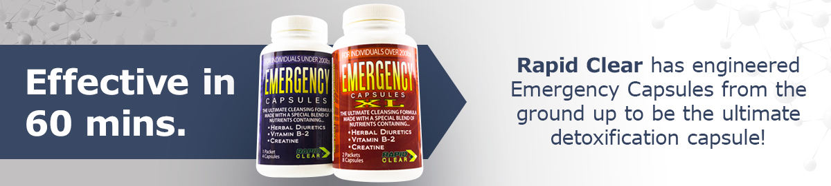 /wholesale/detox-pills